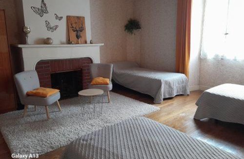 Mezieres-en-Brenne Maison | Maison spacieuse avec cour et cheminée au cœur du Parc Naturel de la Brenne - FR-1-591-229
