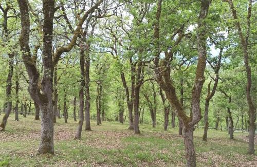Cremps Maison | Maison sur le causse du Quercy Lot 46