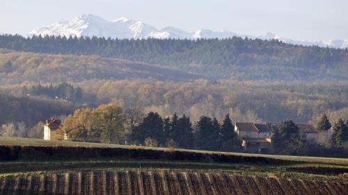 Escueillens-et-Saint-Just-de-Belengard Maison | Maison Tranquil