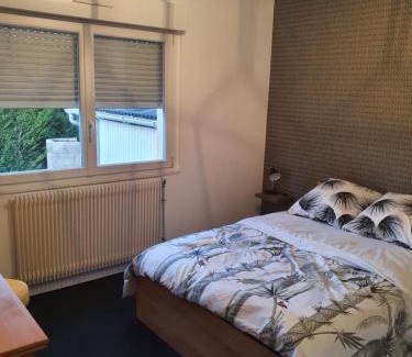 Luxeuil-les-Bains Appartement | Maison Victor Hugo