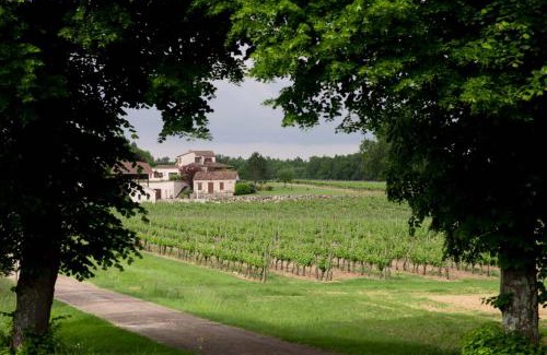 Villeneuve-de-Duras Maison | Maisonnette au coeur d'un vignoble