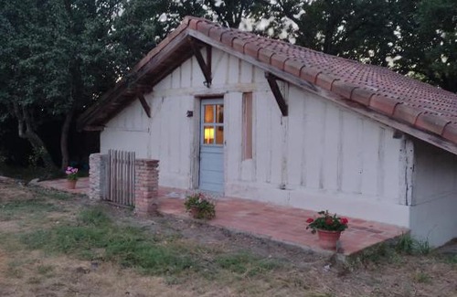 Campagne Maison | Maisonnette vue sur forêt