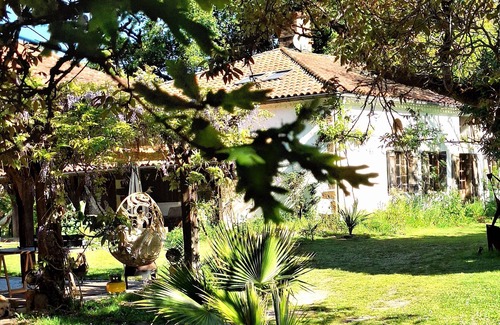 Arjuzanx Maison | Maisons Dans une Réserve Naturelle au Bord D'un Lac. Proximité des Plages.