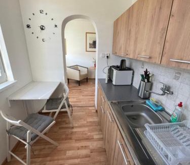 Horni Vltavice Appartement | Malý apartmán na Šumavě