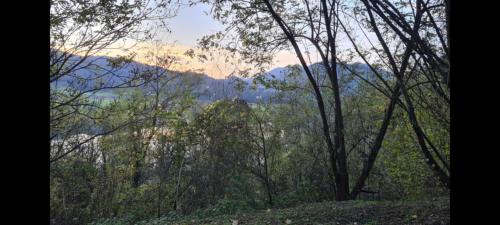 Bostanj Autre | Mala Savca