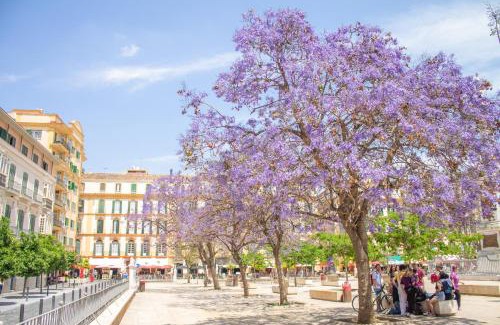 El Ejido Appartement | Malaga Centre Apartment with Parking