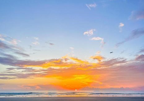 New Smyrna Beach Maison | Malibu 803