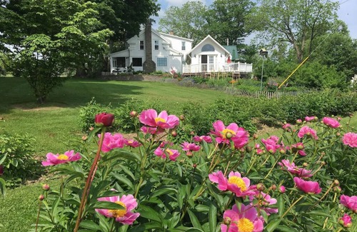 Newfield Cottage | Mallard Cottage, juste pour vous deux et ....... votre animal de compagnie !!