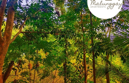 Mariveles Appartement | Malunggay Apartments