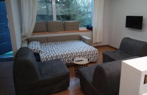 Sroda Wielkopolska Appartement | Maly apartament w zieleni blisko jeziora