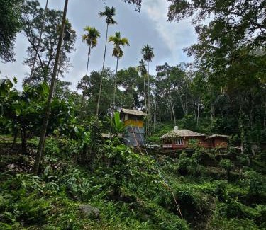 Devikolam Maison | Mamalakandam Tree house