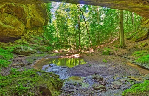 Mammoth Cave Maison | Mammoth Cave Cabin Rentals 7