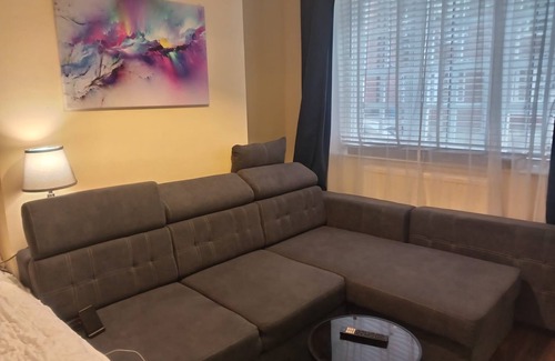 Vincent Square Appartement | Large room with double sofa bed with separate kitchen