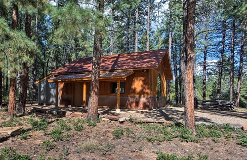 Mancos Cabine | Cabine privée Mancos confortable sur 80 acres avec vues Mtn!