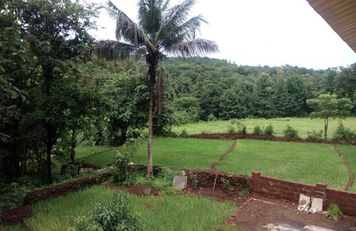 Lanja Autre | Mango Villa Ferme