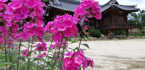 Bonghwa Maison | Manhoe Gotaek