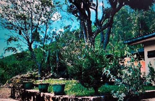 Lindula Maison | Mano illam