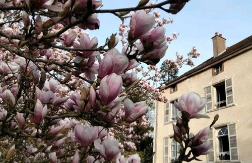 Villersexel Lit Et Petit-Déjeuner | Manoir des Vieilles Vignes