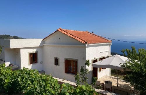 Manolates Maison | Manolates 360