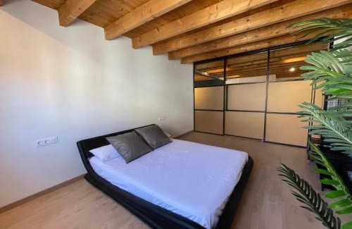 Passeig i Rodalia Appartement | Manresa industrial home