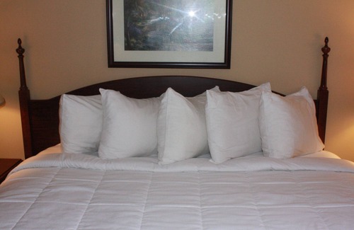 Springfield Hôtel | Mansion View Inn and Suite