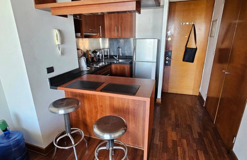Santiago Appartement | Manuel Montt apartrent
