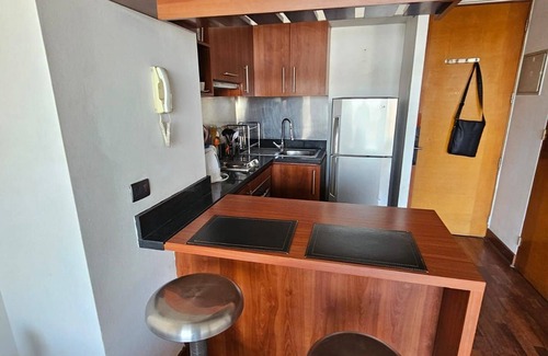 Santiago Appartement | Manuel Montt apartrent
