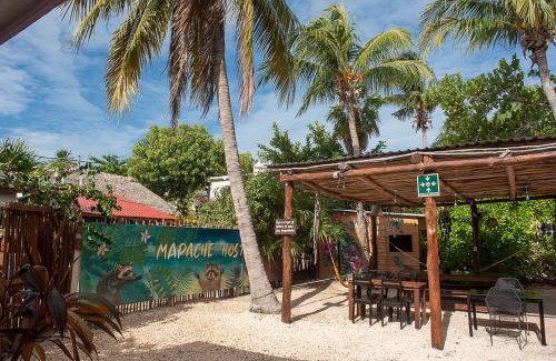 Isla Holbox Maison | Mapache Hostel & Camping