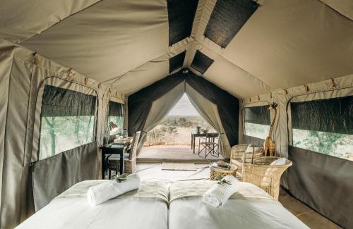 Musina Autre | Mapesu Wilderness Tented Camp