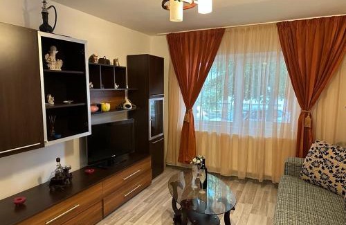 Fagaras Appartement | Mara