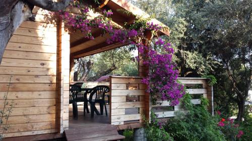 Porto Pollo Maison | Mare E Monti Chalets