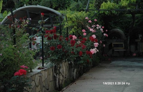 Patras Appartement | Mare - Mare B