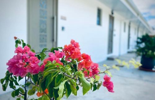 Point Matira Appartement | Mareta Lodge - Studio AHURU 10