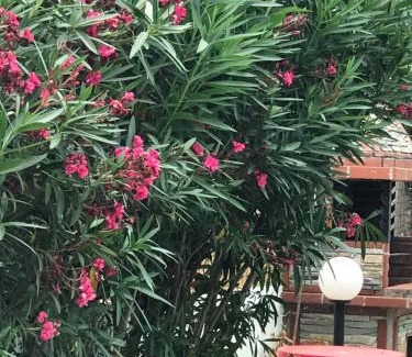 Asprovalta Appartement | Maria Rooms Vrasna