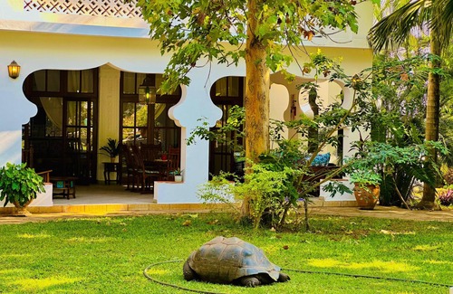 Mtwapa Appartement | Marina Seaside Apartment