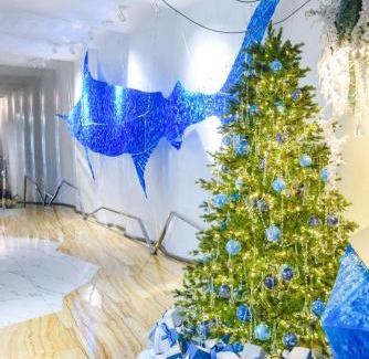 Odessa City Center Hôtel | Marlin