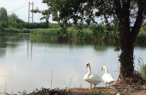 Barton-upon-Humber Cabine | Marshlands Lakeside Nature Retreat