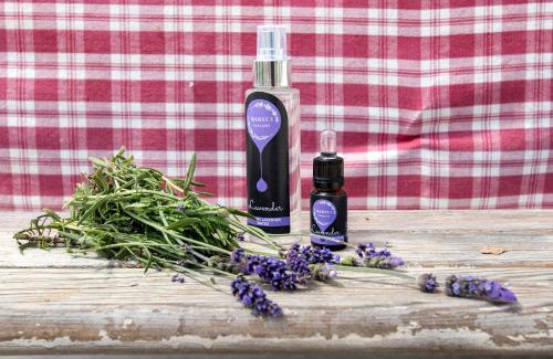 Manciano Villa | Marsy3 - Enchanting Lavender Farm Whole Property