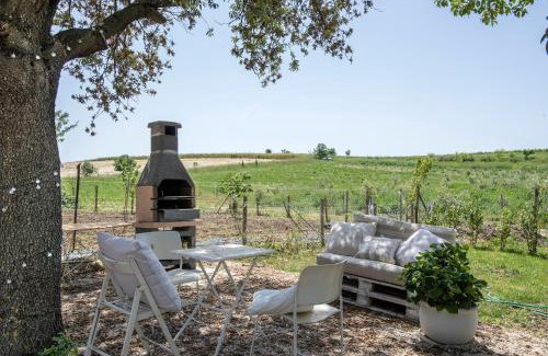 Manciano Villa | Marsy3 - Enchanting Lavender Farm Whole Property