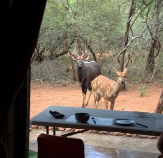 Marloth Park Appartement | Marty's Rest