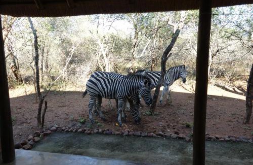 Marloth Park Appartement | Marty's Rest