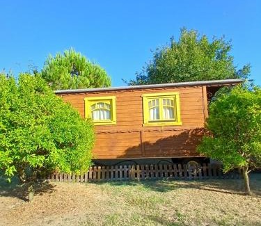 Arles Maison | Mas d'Alivon