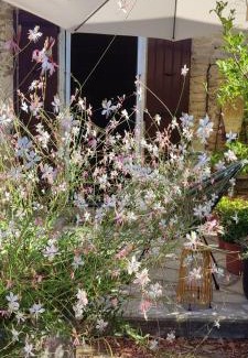 Serignan-du-Comtat Maison | Mas du Vieux Moulin
