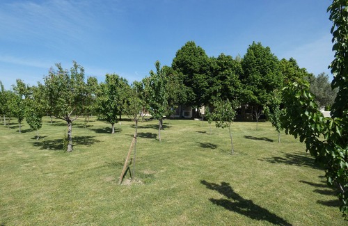 Grillon Cottage | gîte de groupes et chambres d'hôtes Mas Provençal