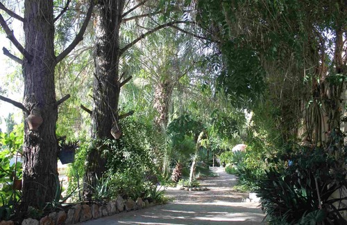 Camarles Appartement | MASIA DE TREMENDO - Apartment 4 with large terrace (next to 3)