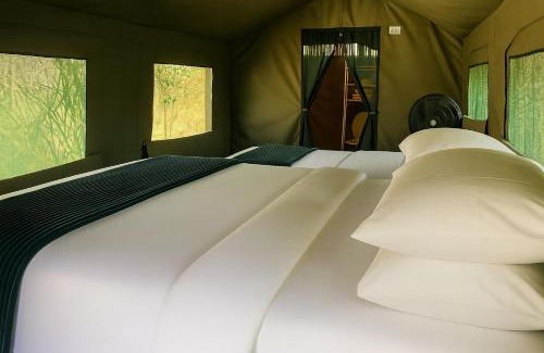 Thorny Bush Game Reserve Autre | Masingitana Tented Camp