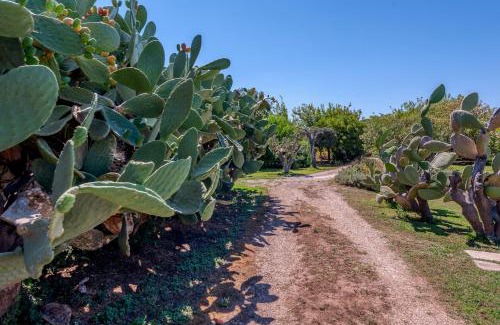 Vernole Maison | Masseria Copertini
