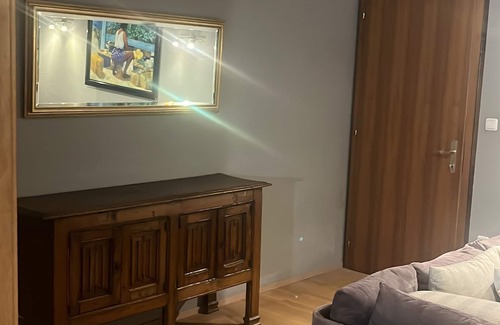 Bregenz Appartement | Apartement de Maître Avec vue sur le lac de Constance