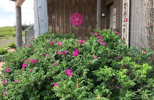 Sapporo Maison | Jardins Mauni Nature surplombant la baie d'Ishikari