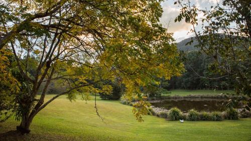 Mount Warning Appartement | Mavis's Cabins @ Mt Warning